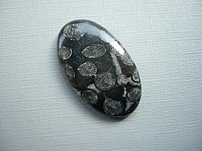 Minerály - Kabošon - černý korál 31 mm, č.16f - 15968036_