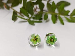 Náušnice - Zelené - pecky do uší s pravými kvetmi. - 15966755_