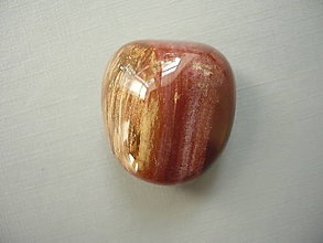 Minerály - Troml. – zkamenělé dřevo 26 mm, č.5f - 15974037_
