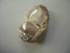 Minerály - Troml. – zkamenělé dřevo 34 mm, č.14f - 15974059_