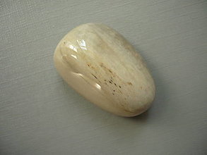 Minerály - Troml. – zkamenělé dřevo 32 mm, č.18f - 15974071_