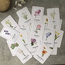 Hračky - Náučné kartičky Kvety a rastliny - 15995589_