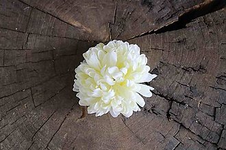 Iný materiál - Hlavička kvetu chryzantéma 10cm, krémová - dekorácia - 16001409_