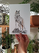 Kresby - Vlk originál kresba - 16008849_