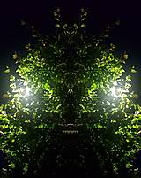 Fotografie - strom v tme koláž 2. - 16012709_
