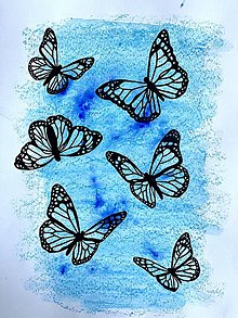 Obrazy - Butterflies - 16019270_