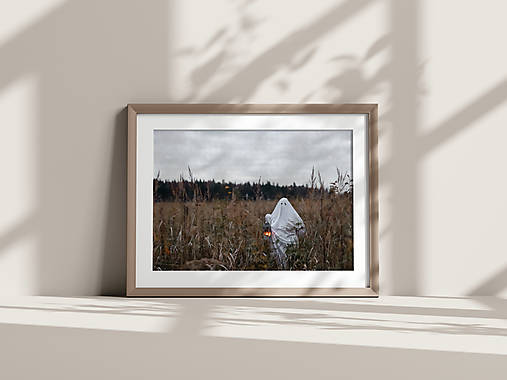 Obrazy - Art Print| Halloween-duch na lúke - 16019232_