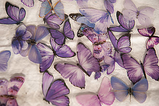 Papier - • Fialové motýle - nálepky - 16026038_
