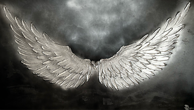 Obrazy - Anjelské krídla - 16028249_