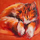 Obrazy - Sleeping Tabby Cat - 16033322_