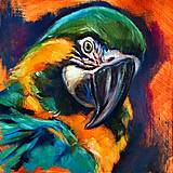 Obrazy - Macaw Tlačená reprodukcia na plátne - 16033448_