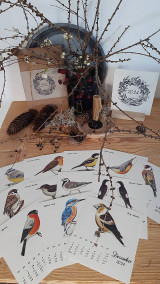 Papiernictvo - Kalendár vtáky v darčekovom balení - 16036474_