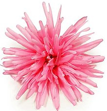 Iný materiál - Hlavička kvetu 13cm, ružová - dekorácia - 16036846_
