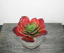 Iný materiál - Kaktus echeveria - dekorácia - 16037731_