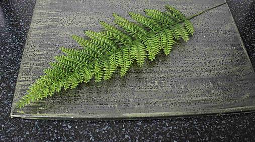 Iný materiál - Papraď veľký list 40cm - dekorácia - 16039568_