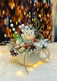Obrazy - Vianočná dekorácia so sovou 1 - 16046600_