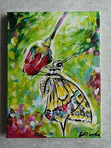 Kresby - Motýľ maľba - 16049602_