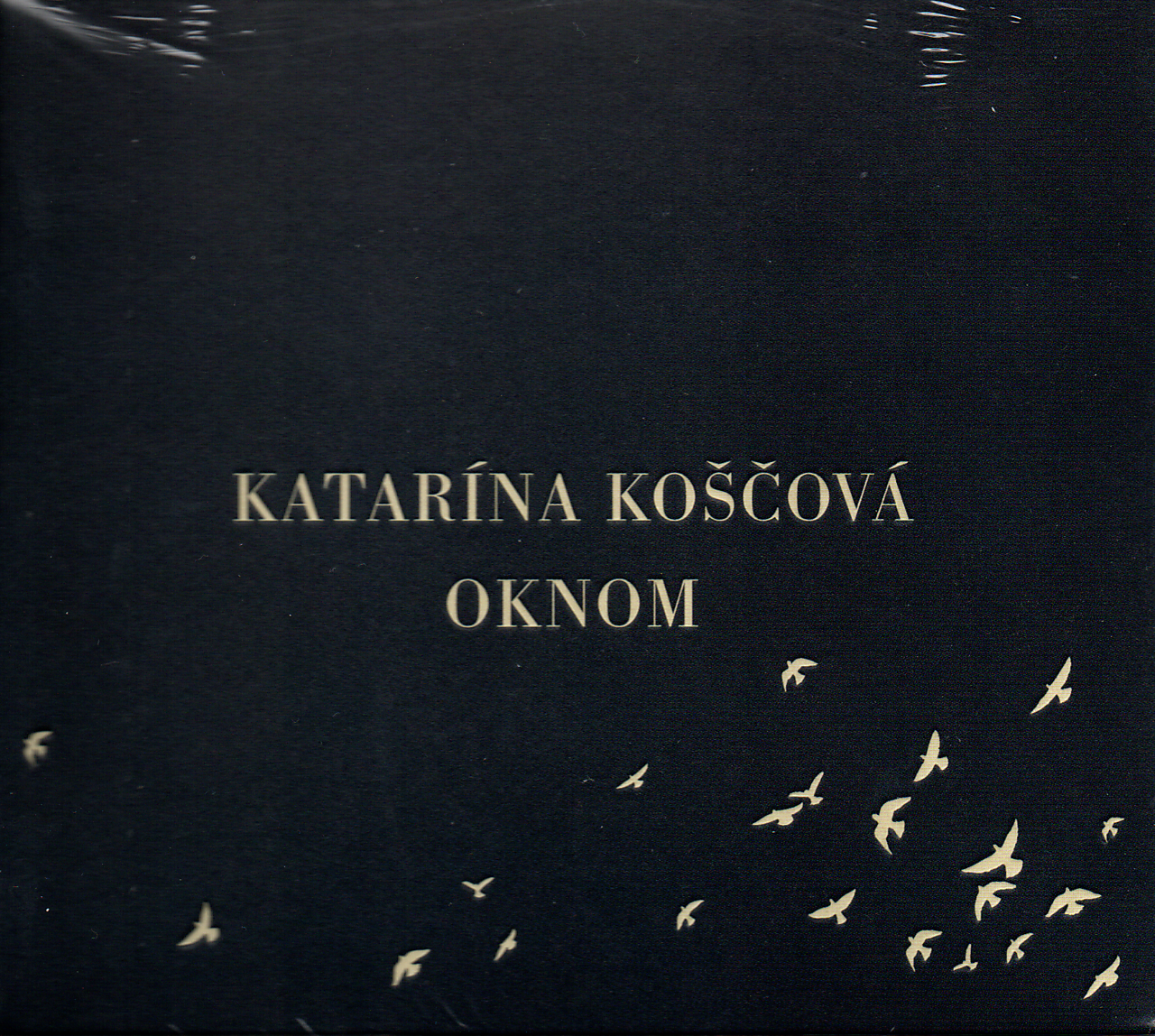 Katarína Koščová - Oknom