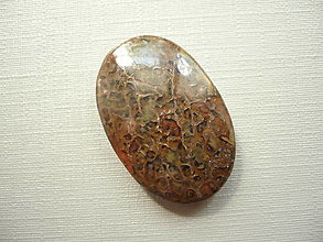 Minerály - Kabošon - dinosauří kost 27 mm, č.3f - 16049410_
