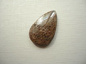 Minerály - Kabošon - dinosauří kost 23 mm, č.8f - 16049505_