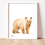 Art Print - medveď hnedý