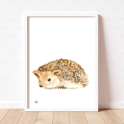 Art Print - ježko