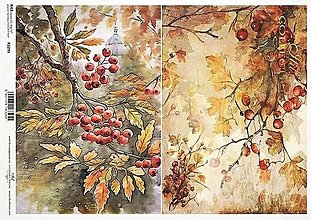 Papier - Ryžový papier R2299/ A4 - 16059917_