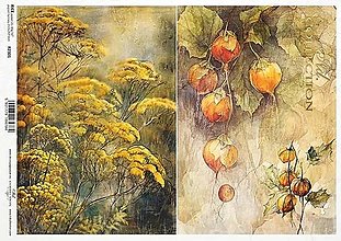 Papier - Ryžový papier R2301/ A4 - 16059935_