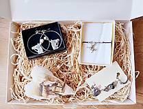 Náušnice - Koníkový darčekový box pre ženy s náušnicami, dekoráciou, náramkom a kľúčenkou - 16057702_