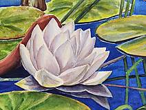 Grafika - Biely lotos. Akvarelová maľba. - 16063483_