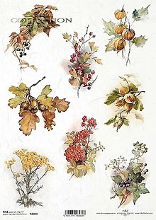 Papier - Ryžový papier R2303/ A4 - 16065922_