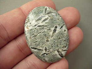 Minerály - Kabošon - jaspis kiwi 42 mm, č.3f - 16065740_