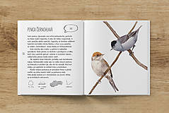 Hračky - Kniha Sme vtáky - 16069998_