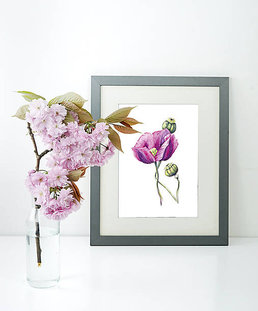 Grafika - Art print - Fialový mak - 16069259_