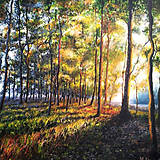 Obrazy - Novembrové slnečné lúče, maľba - 16073065_