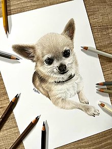 Kresby - Realistický portrét psíka - 16075719_