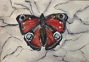 Kresby - Motýľ - 16072963_