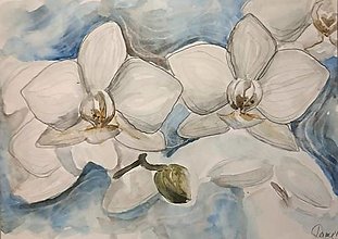 Kresby - Biela orchidea - 16072986_