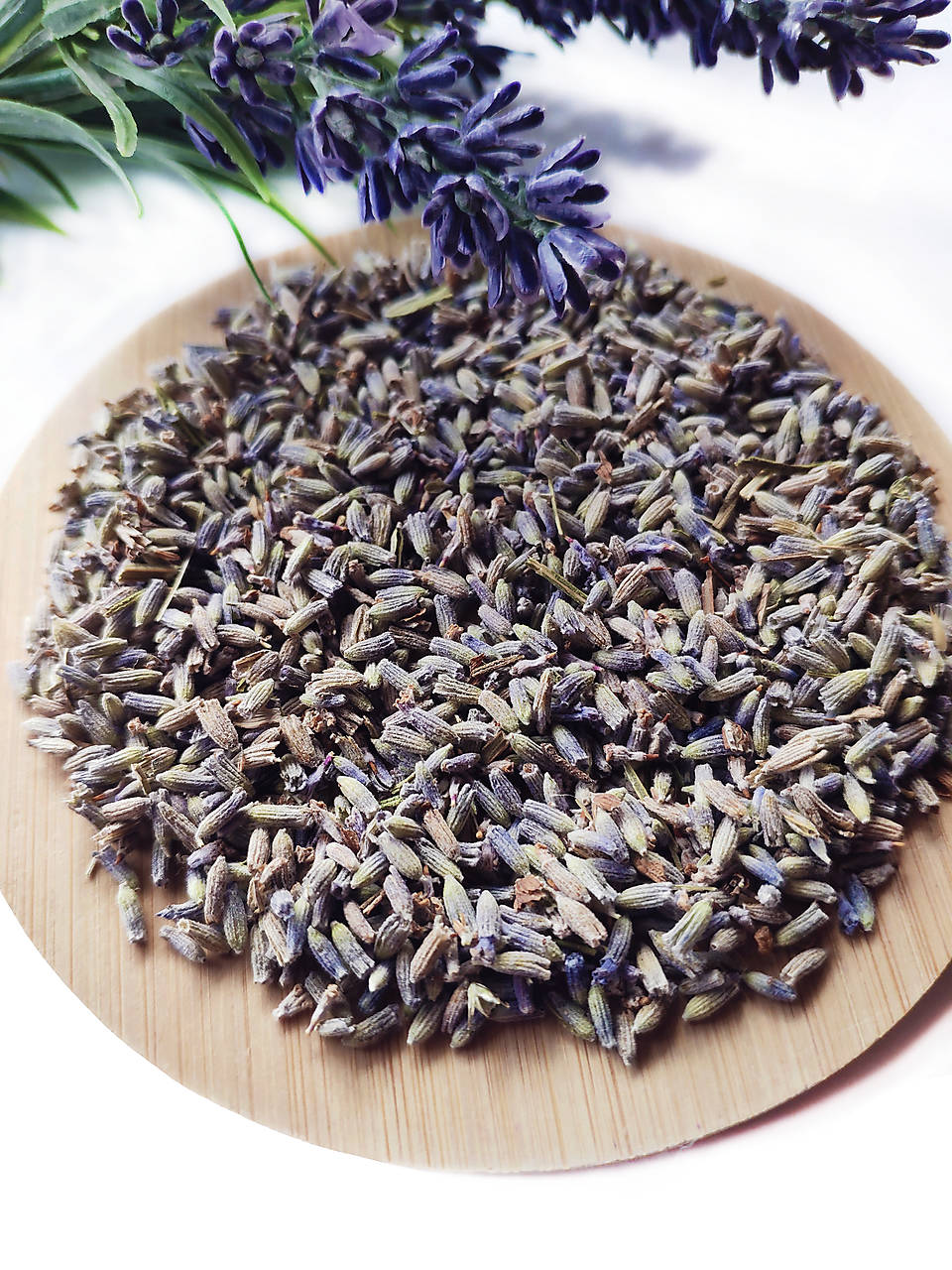 Levanduľa lekárska 