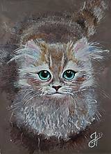 Obrazy - Obraz "Mačiatko", 30x40 cm - 16101950_