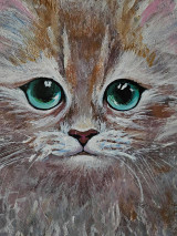 Obrazy - Obraz "Mačiatko", 30x40 cm - 16101954_