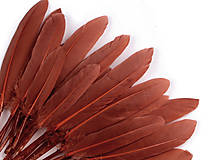 Suroviny - kačacie perie, 20 ks, hrdzavá - 16115002_