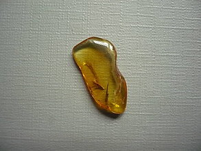Minerály - Troml. kámen – jantar 21 mm, č.149f - 16119984_