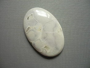 Minerály - Kabošon - jaspis cobra 37 mm, č.2f - 16128464_