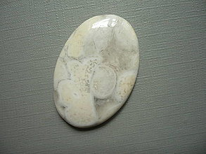 Minerály - Kabošon - jaspis cobra 36 mm, č.5f - 16128494_