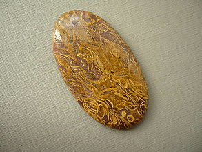 Minerály - Kabošon - jaspis coquina 45 mm, č.4f - 16129419_