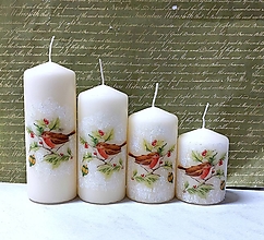Sviečky - adventné sviečky s vtáčikmi - 16133107_