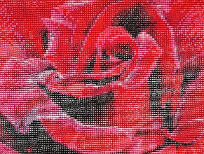 Obrazy - Červená ruža - 16140152_