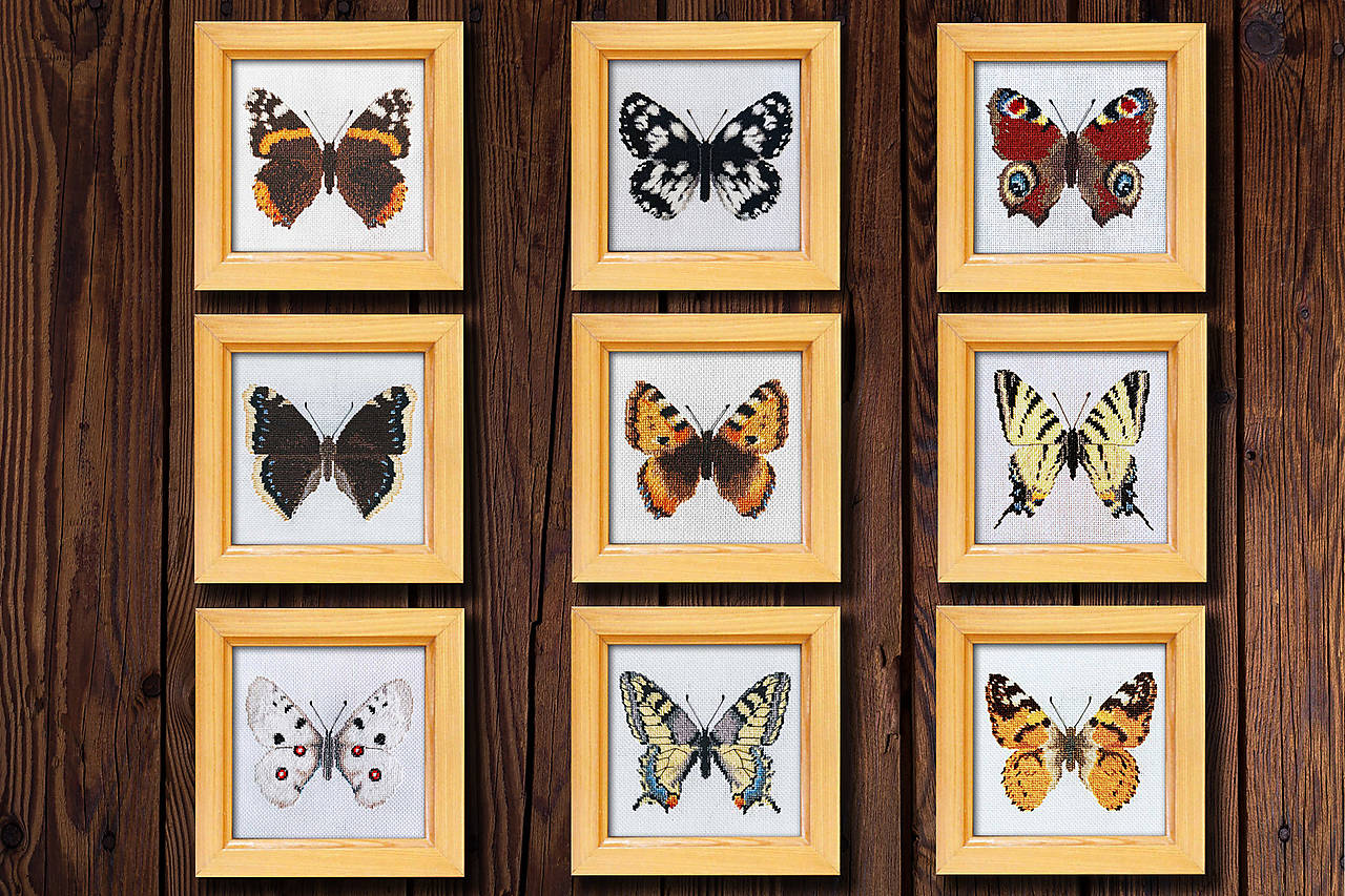 Zbierka motýľov