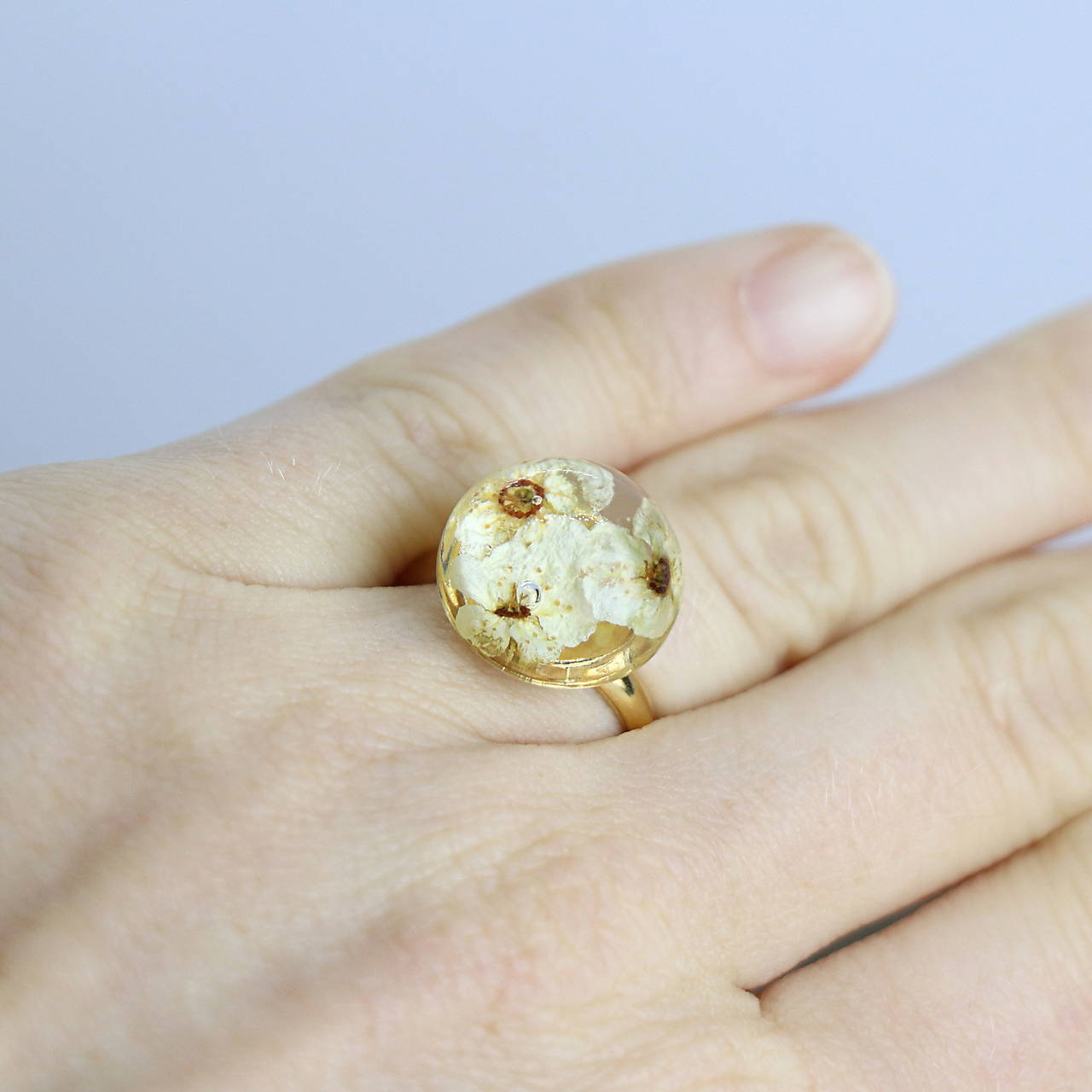 Prsteň Tavoľník pod lupou